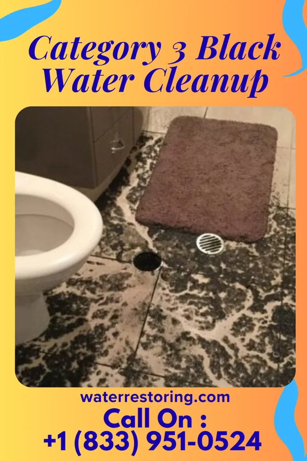 Category 3 Black Water Cleanup in Ridgeway, MO