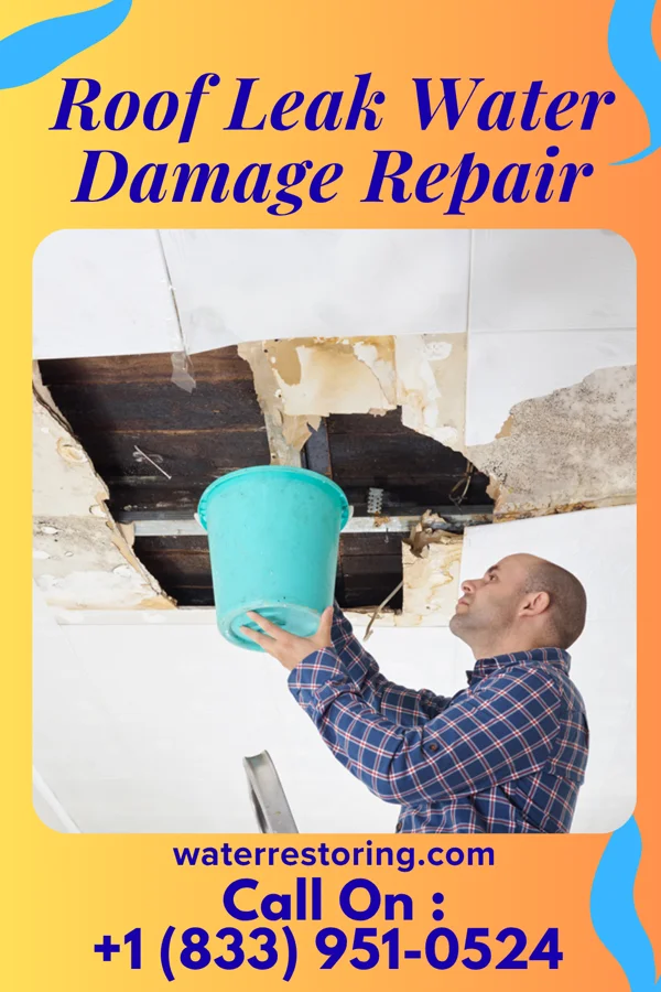 Roof Leak Water Damage Repair in Ridgeway, MO