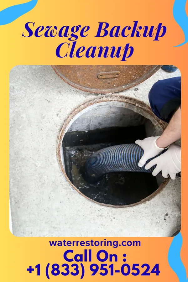 Sewage Backup Cleanup in Ridgeway, MO