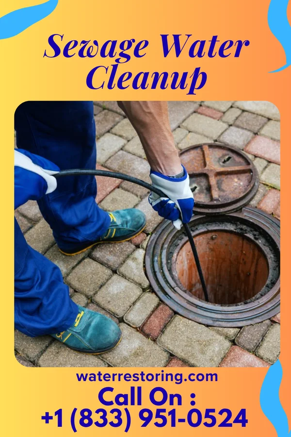 Sewage Water Cleanup in Ridgeway, MO