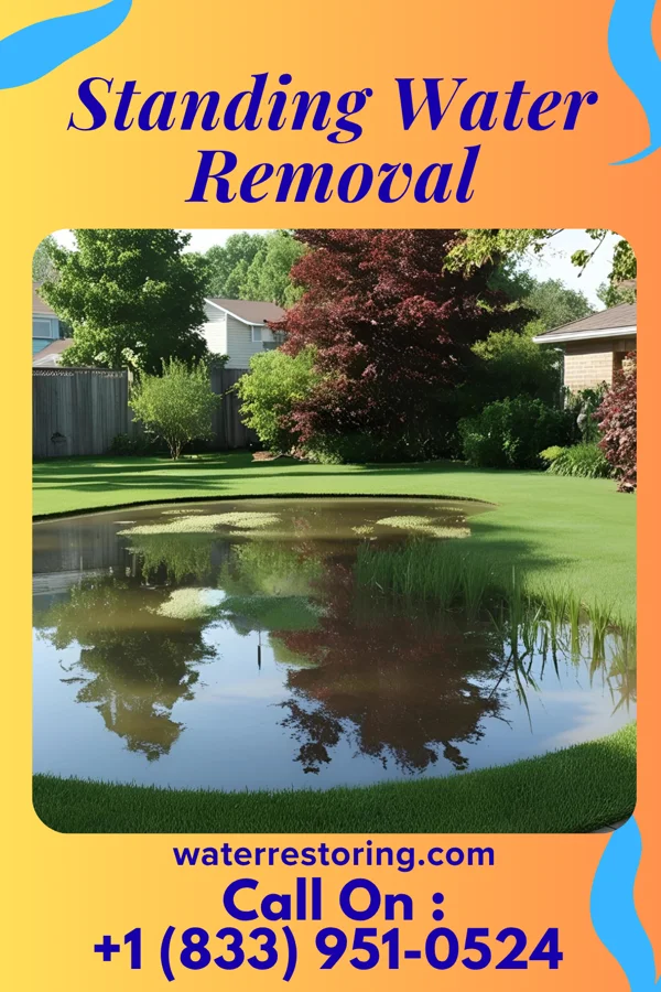 Standing Water Removal in Ridgeway, MO